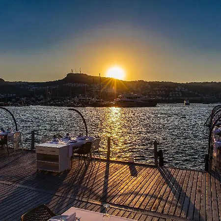 Hotel Bella & 4*