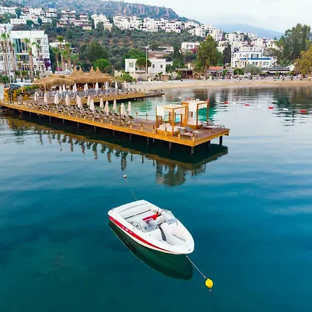 Hotel Bella & 4*