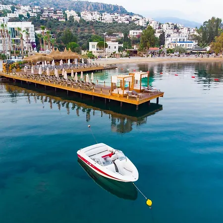 Hotel Bella & 4*
