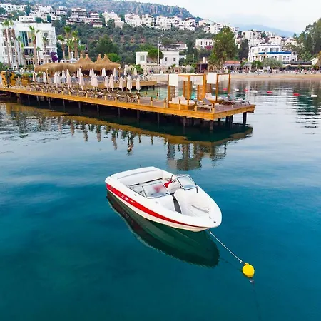 Bella & Gundogan (Bodrum)