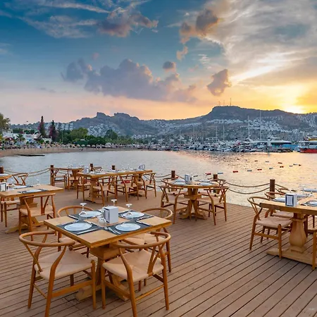 Hotel Bella & 4*