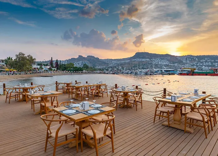 Hotell Bella & 4*