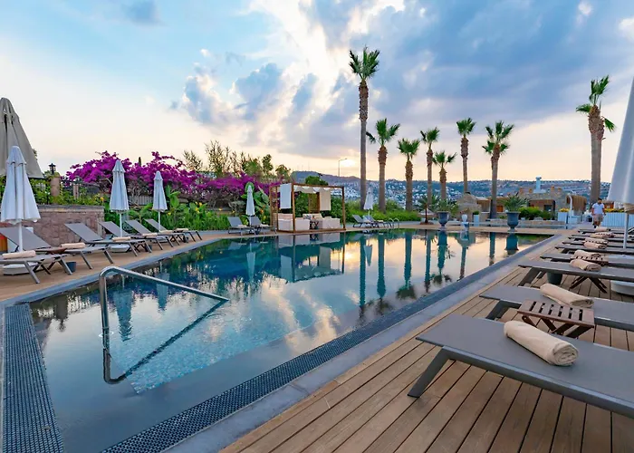 Hotell Bella & 4*